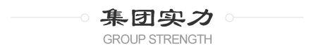 集團(tuán)實(shí)力